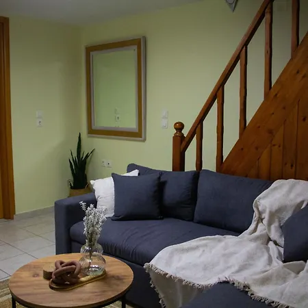 The 20a Terminal N Fly باراديسيون