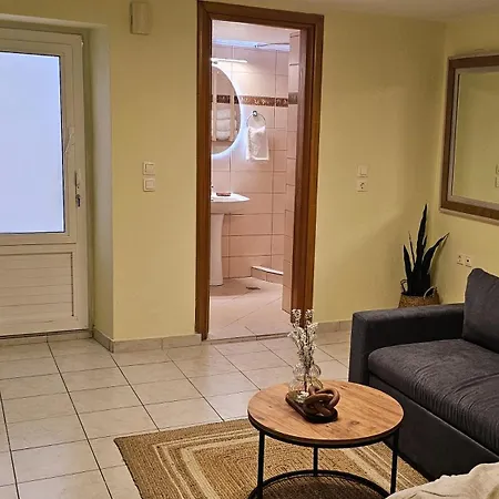 The 20a Terminal N Fly باراديسيون