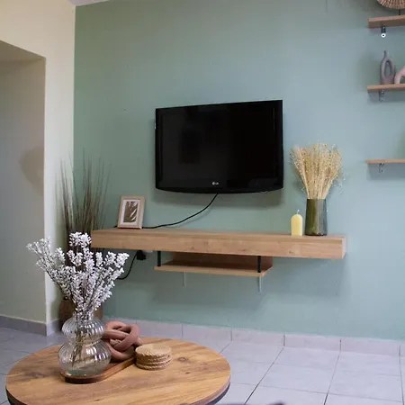 The 20a Terminal N Fly Paradeísion