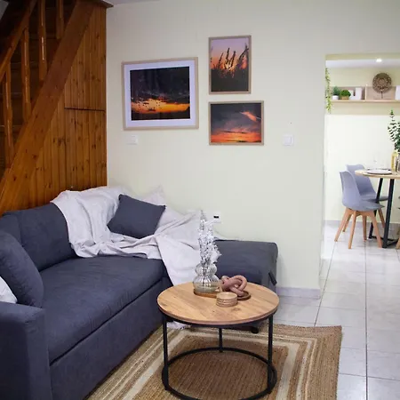 The 20a Terminal N Fly Paradeísion