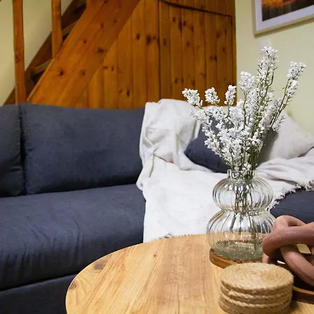 The 20a Terminal N Fly *