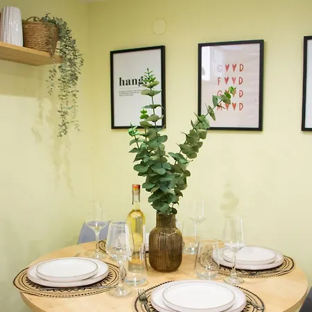 The 20a Terminal N Fly Paradeísion