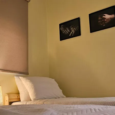 The 20a Terminal N Fly