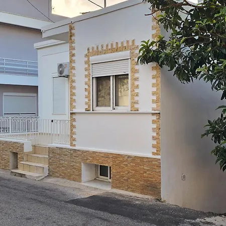 The 20a Terminal N Fly