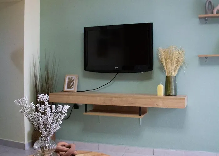 The 20a Terminal N Fly Paradeísion