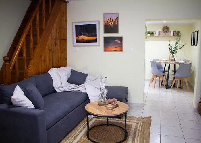 The 20a Terminal N Fly Paradeísion