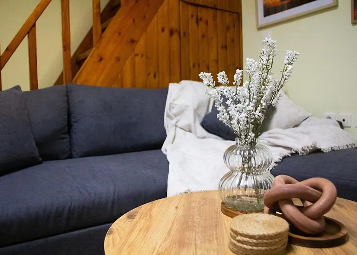 The 20a Terminal N Fly *