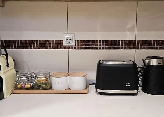 The 20a Terminal N Fly Paradeísion