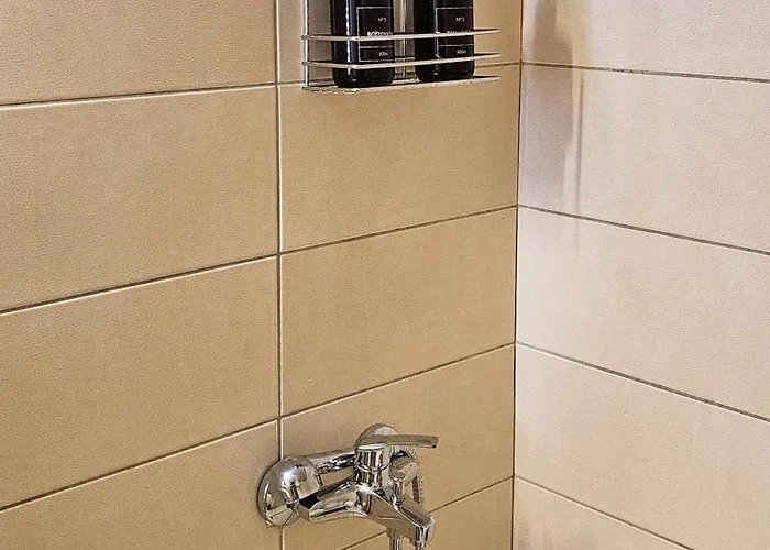 The 20a Terminal N Fly * Paradeísion