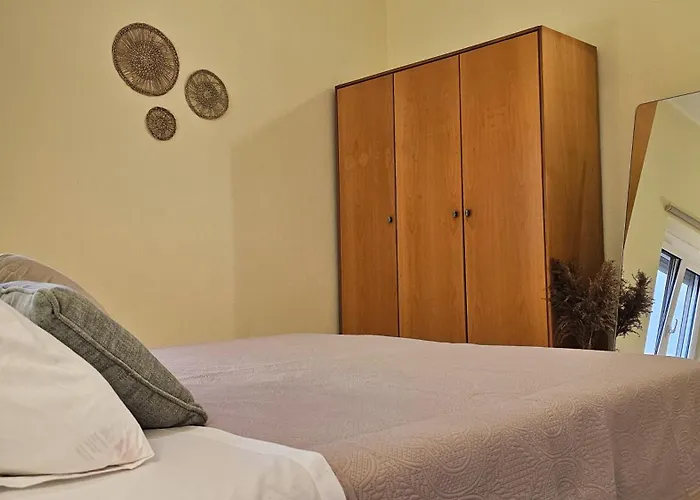 The 20a Terminal N Fly Paradeísion