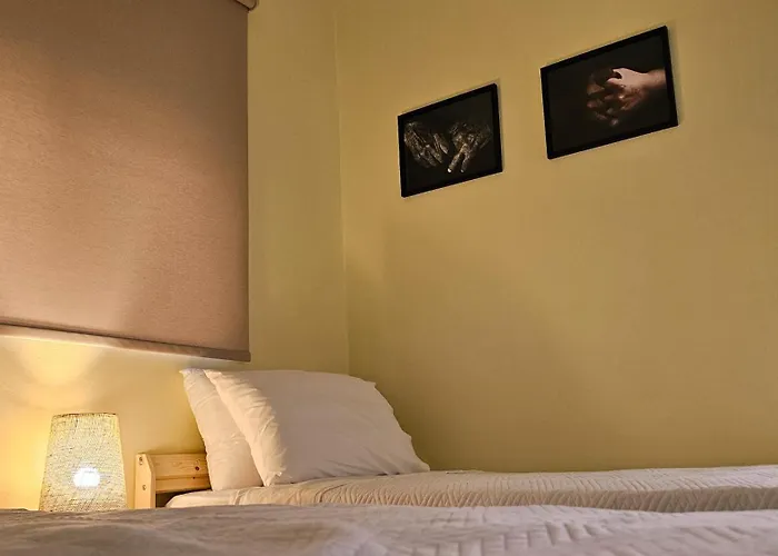 The 20a Terminal N Fly